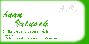 adam valusek business card